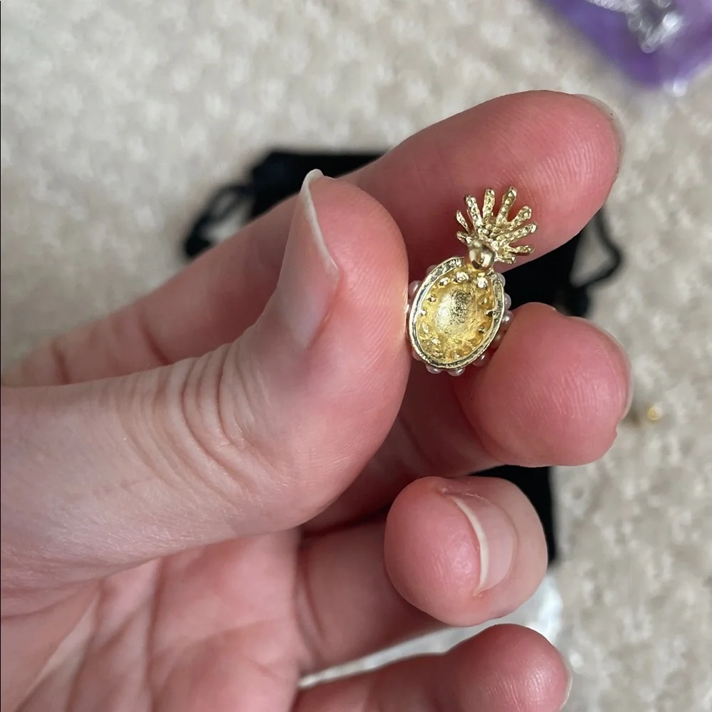 N/A chic pineapple